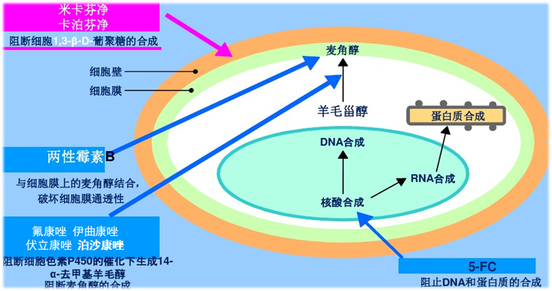 640 (4).png